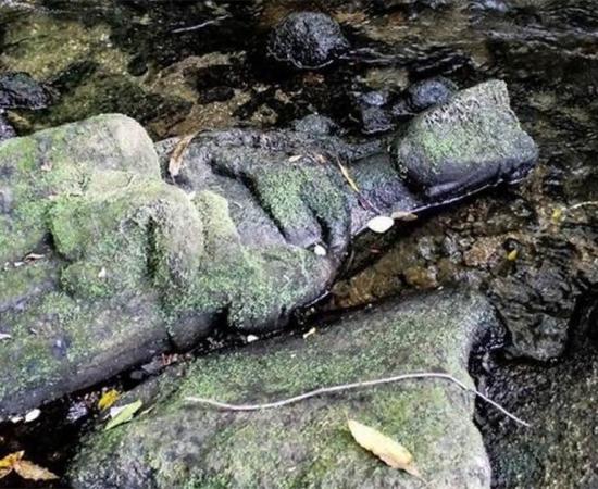 A fisherman found this Madonna in a river near Santiago de Compostela, Spain. Source: Conchi Paz via Apatrigal