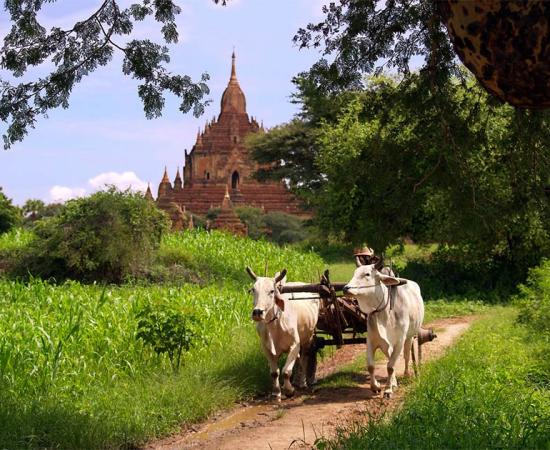 Maingmaw was one of the City States that is found throughout what is now Myanmar. Source: FlemishDreams