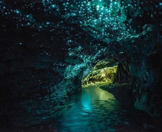 The Waitomo Glowworm Cave, New Zealand