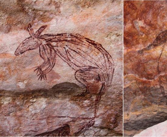 A new paper introduces 570 examples of Maliwawa rock art in rock shelters in Western Arnhem Land in Australia’s Northern Territory. This image shows a rock art depiction of a Maliwawa macropod found in the Namunidjbuk clan estate of the Wellington Range. Source: (P. Taçon / Australian Archaeology)