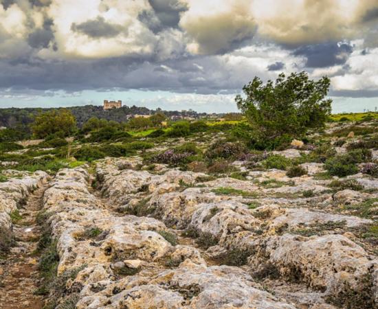 Maltese cart ruts near Buskett, Malta, with Verdala Palace visible in the distance.  