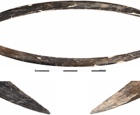 Mammoth ivory boomerang from Obłazowa Cave, Poland