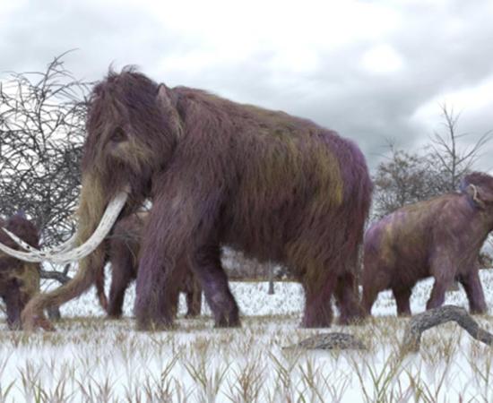 Mammoth-bone structure is dated at around 24,000 BC.       Source: auntspray / Adobe Stock