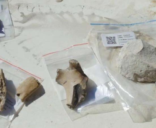 Bones and stone tools found at the site of the Māori village