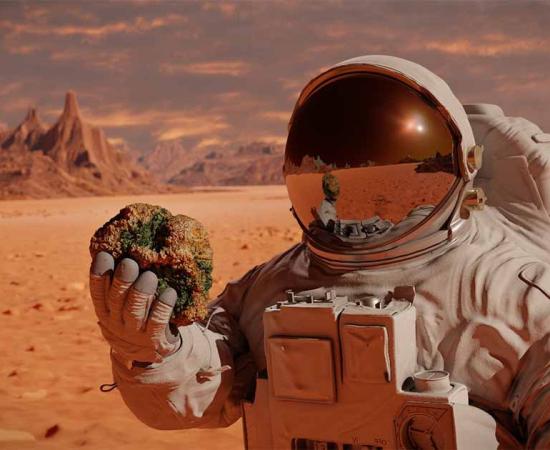 Is Bacteria Hiding on Mars? Indestructible Microbe “Conan the Bacterium” Suggests There Is