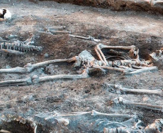Skeletons in a mass grave. Source: EKH-Pictures / Adobe Stock.