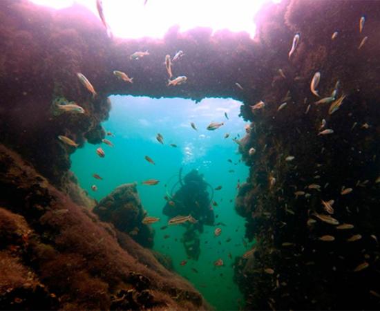 The shipwreck found in the Gulf of Mexico has been identified as being the wreck of La Unión, a steamship used to take Maya slaves to Cuba in the aftermath of the War of the Castes. In the image a marine archaeologist inspects the detail of the seesaw steam engine off the coast of Sisal, Mexico. Source: Helena Barba / INAH