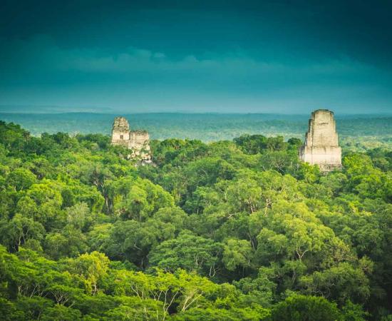 Maya Cities Had Unique Neotropical Forest Parks Says New Study