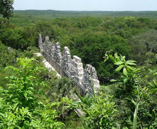 Maya ruins surrounded by lush green vegetation of the current climate.