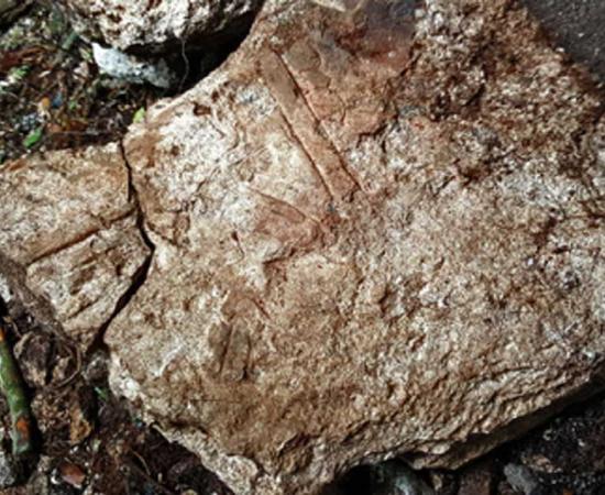 Inscribed stone from a monument at Witzna with scorching dated to 697.      Source: Francisco Estrada-Belli / Nature Magazine