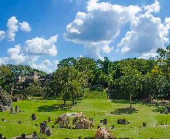 Vandals carved graffiti into a famous Maya temple, the Tikal Temple II pyramid in Guatemala. Source: Simon Dannhauer /Adobe Stock