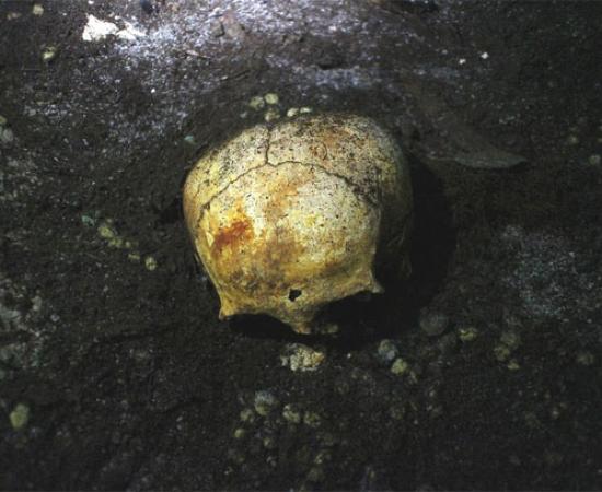Elongated skull in Mayan cave
