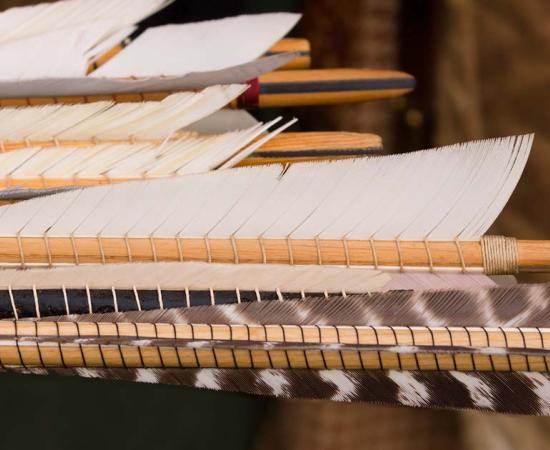 Medieval arrow fletchings. Source: David Pimborough / Adobe Stock.