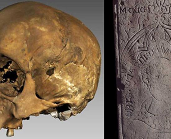 The recently unearthed medieval priest’s skull and coffin lid. 