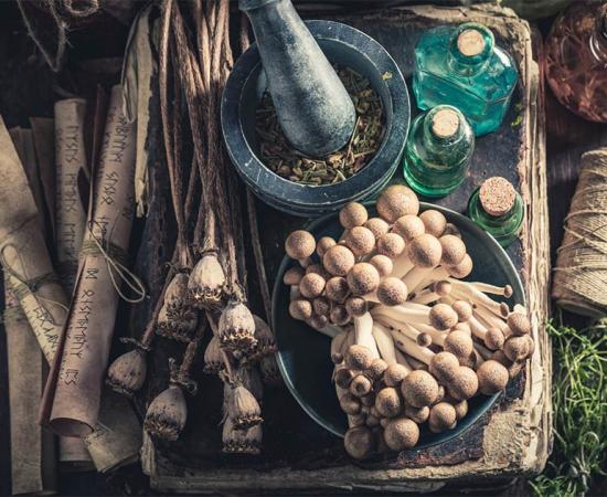 Study finds that medieval remedy found in 1000-year-old medical text could hold key to treating antibiotic-resistant infections. Source: shaiith / Adobe Stock