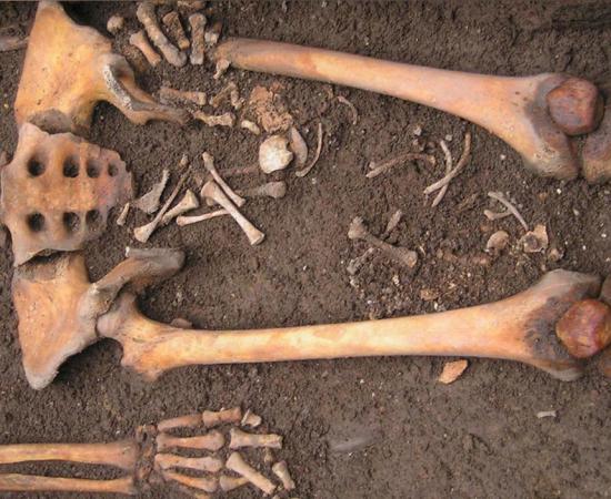 Medieval burial showing the remains of a woman and a fetus in Bologna, Italy.