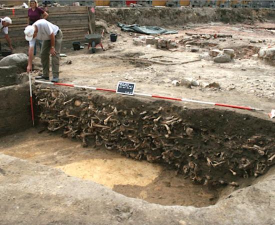 Human remains found at the excavation site at the medieval cemetery in Petriplatz, Berlin.    Source: Ausgrabung Petriplatz