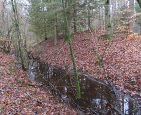 Moat around the lost Medieval town of Stolzenberg.