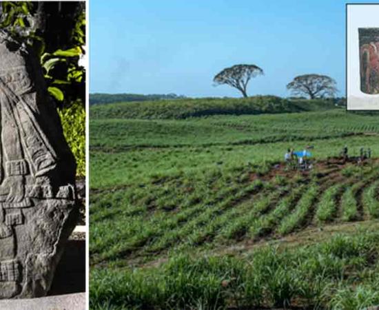Left; Stele of a standing dignitary, with likely tobacco leaves his hair. Right; El Baul, acropolis site Cotzumalhuapa, Guatemala. under excavation 2006 Inset; 3 of the vessel tested in the study 	Source: Oswaldo Chinchilla Mazariegos/Antiquity Publications Ltd