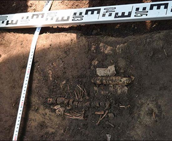 Mesolithic fish and chips?
