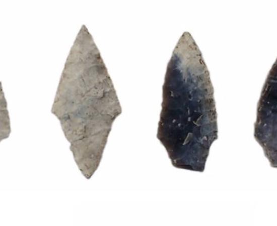 Bifacial points found at the Stone Age Zvejnieki cemetery 