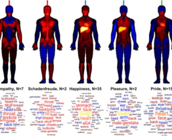 Some Patterns of emotions included in the 18 principal emotional categories across the body.