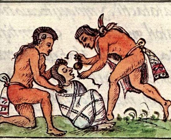 Have Researchers Discovered What Caused the 16th Century Mexican Epidemic That Killed Over 80% of the Population?