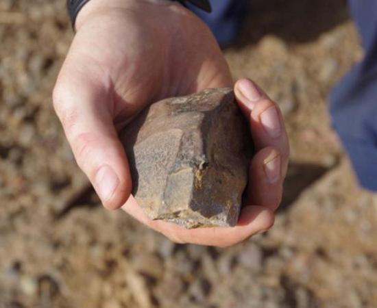 Human Evolutionary Theory Needs Updating, Again