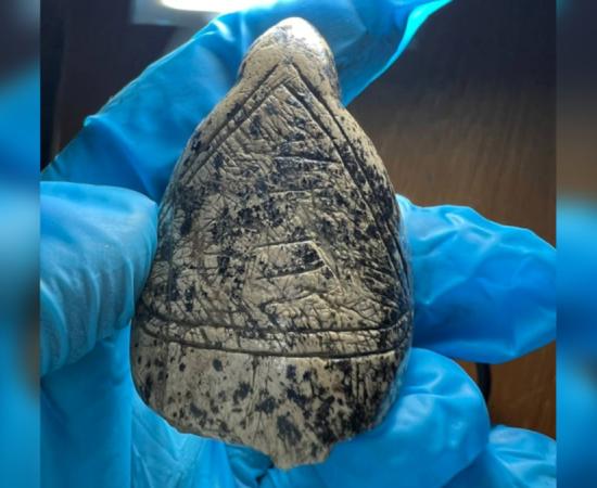 One of the Mizyn ivory figurines examined in the recent study.