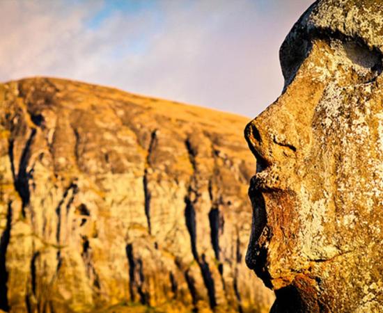 The Ancient Inhabitants of Easter Island were not the Cause of the Deforestation on the Island