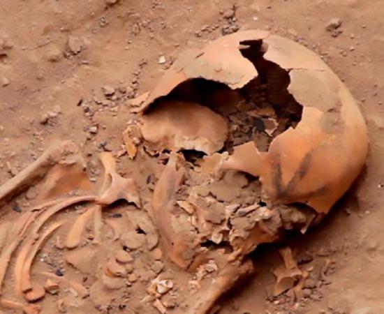 A tattooed skull in one of the newly unearthed Moche burials. Source: CEN/Proyecto Especial Naylamp Lambayeque