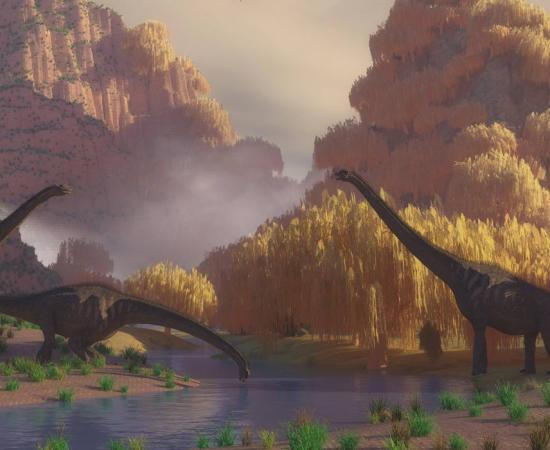 Representative image of Mokele-mbembe