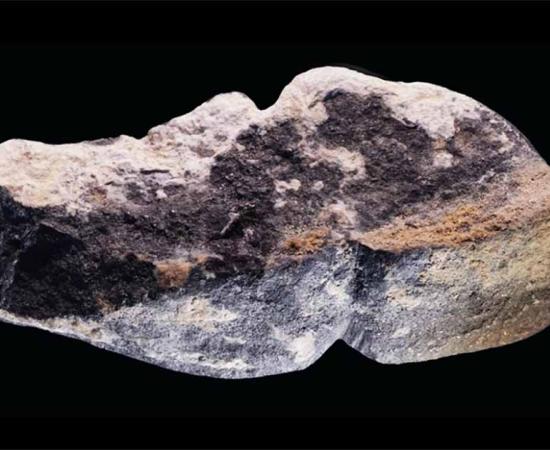 Study claims that this piece of graphite is actually a 42,000-year-old carved Mongolian phallus. Source: Solange Rigaud et. al. / CC BY 4.0