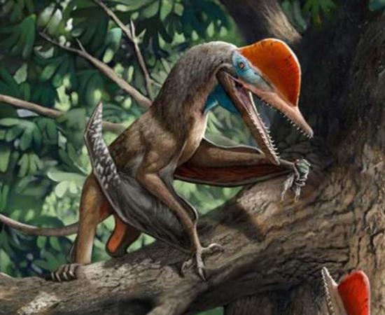 2020, Year of the Deeply Ancient Beasts