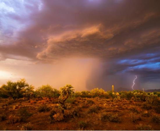 Study shows human migration could have followed monsoons to the Levant.	Source: mdesigner125 / Adobe Stock