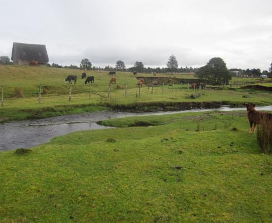 Monte Verde archaeological site, Chile.