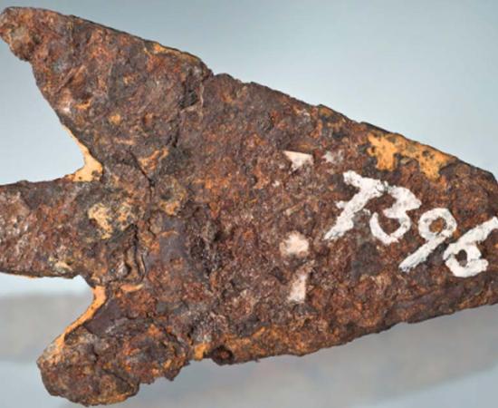 Overview of the Mörigen arrowhead. Source: Thomas Schüpbach/Science Direct