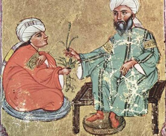 Folio from an Arabic manuscript of Dioscorides, De materia medica, 1229 (Public Domain)