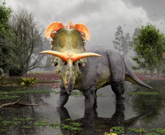 Reconstruction of Lokiceratops