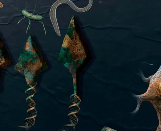 Artist's illustration symbolically depicting the research results. Source: Sayo Studio/Nature