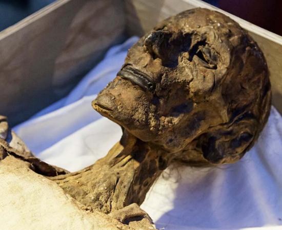 Egyptian mummy. Source: esebene / Adobe Stock.