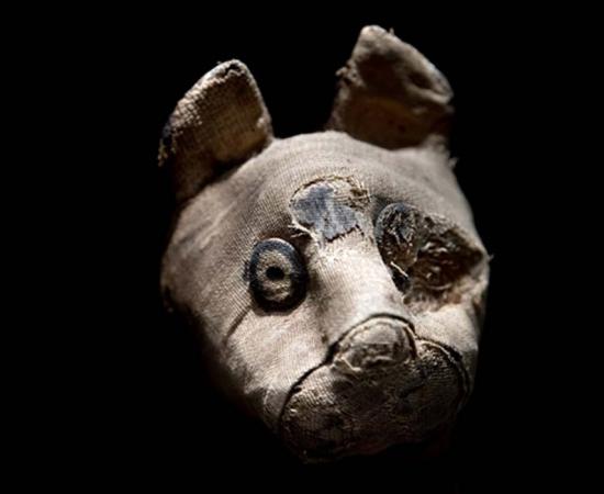 Mummified cat found in Egyptian tomb