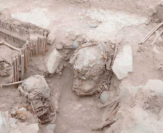 Five mummified remains found in Huaca la Florida, Lima. Source: Peru Ministry of Culture