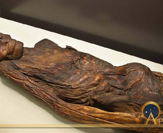 Famous Gaunches Mummies Drenched In Dragons’ Blood Like A Stradivarius Violin