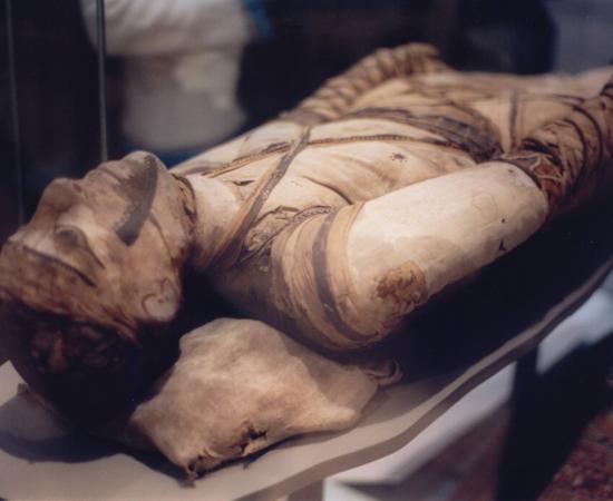 Wrapped Egyptian mummy on display at the British Museum.