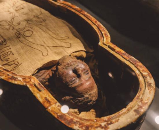 Ancient Egyptian mummies in sarcophagi.