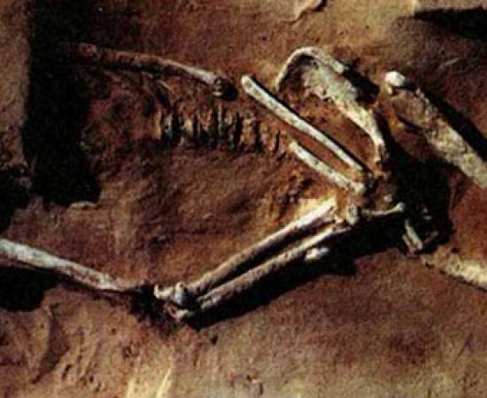 Mungo Man - Australia