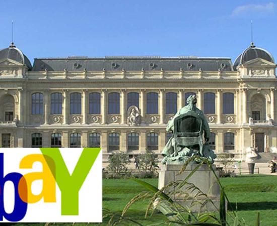 Unlucky Number for Museum Thief Who Was Caught After Putting 666 Artifacts on ebay