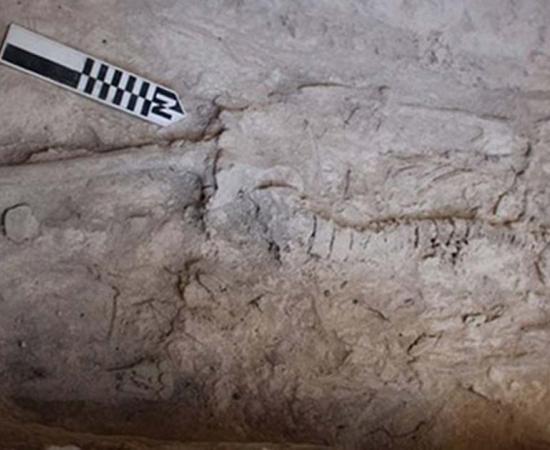 Remains found in one of the tombs