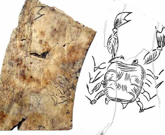 The Shock Discovery of the Nakovane Zodiac